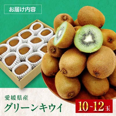 【先行受付】【1月下旬から順次発送】グリーンキウイ 10玉-12玉入 [AGBA016]