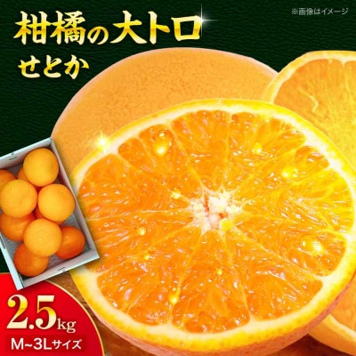 【先行受付】【4月上旬から順次発送】せとか 2.5kg [AGBA019]