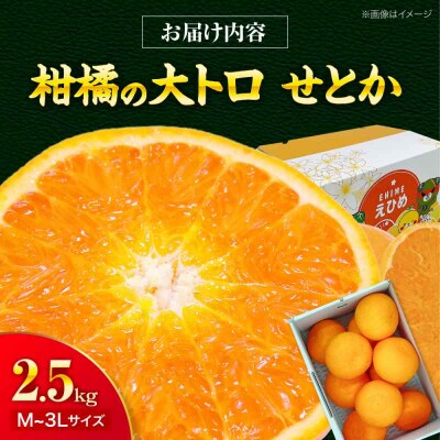 【先行受付】【4月上旬から順次発送】せとか 2.5kg [AGBA019]