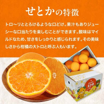 【先行受付】【4月上旬から順次発送】せとか 2.5kg [AGBA019]