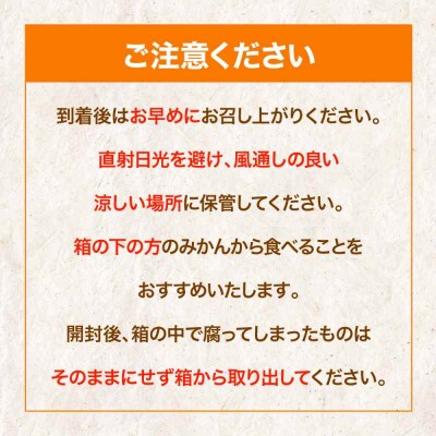 【先行受付】【4月上旬から順次発送】せとか 2.5kg [AGBA019]