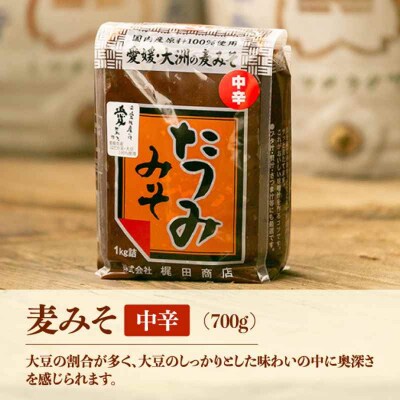 【贈答用】本物の味を毎日の食卓へ!たつみ 麦みそ4種食べ比べセット [AGBB012]