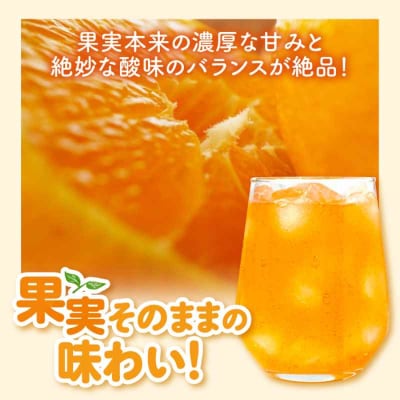 果実そのままの味わい!不知火100%ジュース 720ml×6本 [AGBC002]