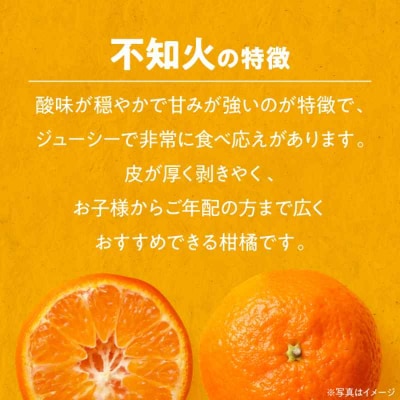 【先行受付】【3月上旬から順次発送】優しい酸味とで強いあま味!不知火 5kg [AGBC003]