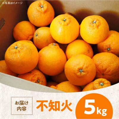【先行受付】【3月上旬から順次発送】優しい酸味とで強いあま味!不知火 5kg [AGBC003]