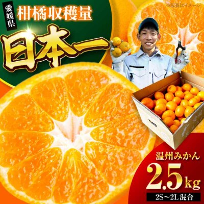 【先行受付】【10月中旬から順次発送】温州みかん 2.5kg (2S-2L)[AGBC004]