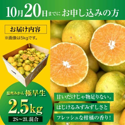 【先行受付】【10月中旬から順次発送】温州みかん 2.5kg (2S-2L)[AGBC004]