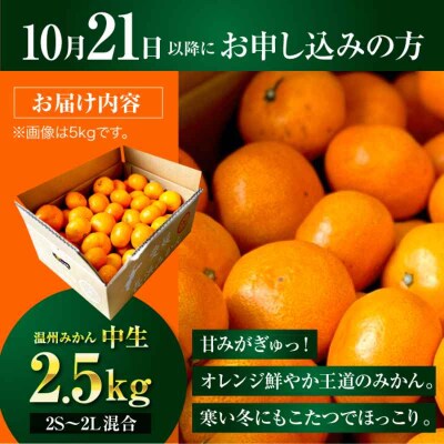 【先行受付】【10月中旬から順次発送】温州みかん 2.5kg (2S-2L)[AGBC004]