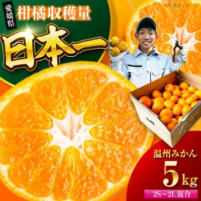 【先行受付】【10月中旬から順次発送】温州みかん 5kg(2S-2L) [AGBC005]