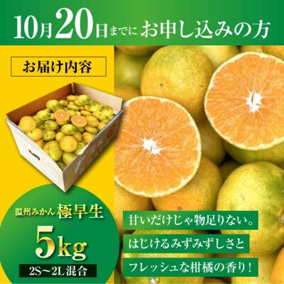 【先行受付】【10月中旬から順次発送】温州みかん 5kg(2S-2L) [AGBC005]