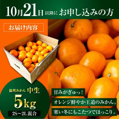 【先行受付】【10月中旬から順次発送】温州みかん 5kg(2S-2L) [AGBC005]