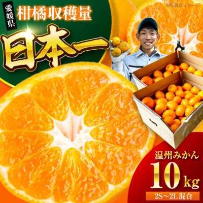 【先行受付】【10月中旬から順次発送】温州みかん 10kg(2S-2L)[AGBC006]