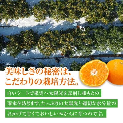 【先行受付】【10月中旬から順次発送】温州みかん 10kg(2S-2L)[AGBC006]
