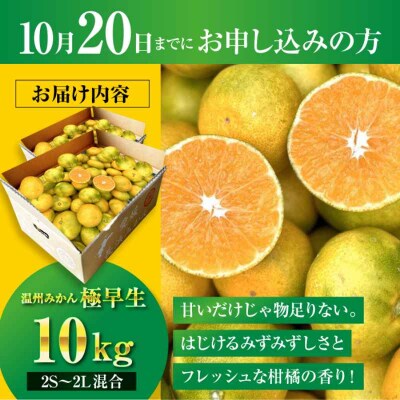 【先行受付】【10月中旬から順次発送】温州みかん 10kg(2S-2L)[AGBC006]
