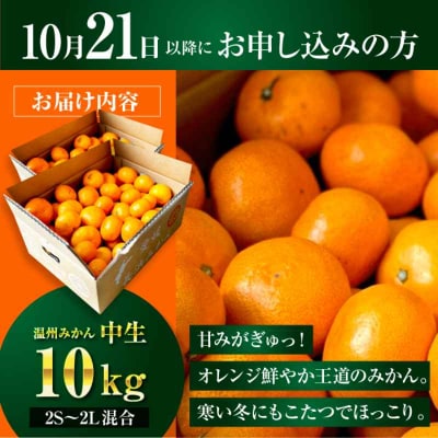 【先行受付】【10月中旬から順次発送】温州みかん 10kg(2S-2L)[AGBC006]