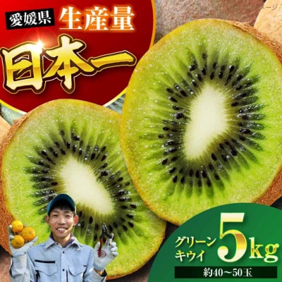 【先行受付】【11月中旬より順次配送】グリーンキウイ 5kg(約40から50玉)[AGBC007]