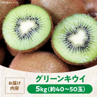 【先行受付】【11月中旬より順次配送】グリーンキウイ 5kg(約40から50玉)[AGBC007]