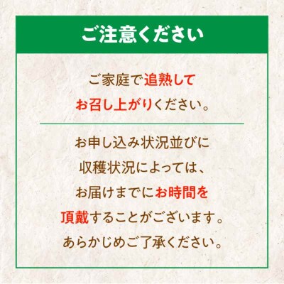 【先行受付】【11月中旬より順次配送】グリーンキウイ 5kg(約40から50玉)[AGBC007]