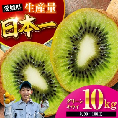 【先行受付】【11月中旬より順次配送】グリーンキウイ 10kg [AGBC008]