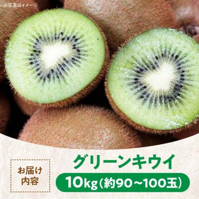 【先行受付】【11月中旬より順次配送】グリーンキウイ 10kg [AGBC008]