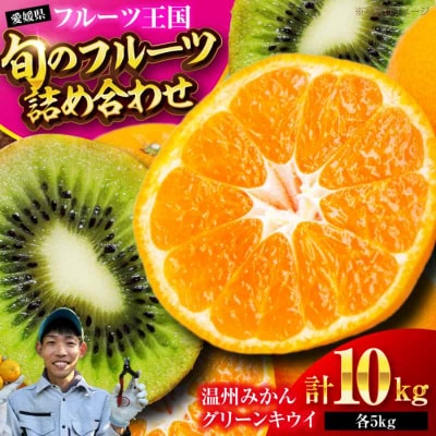 【先行受付】【12月上旬より順次発送】温州みかん5kgとグリーンキウイ5kg [AGBC009]