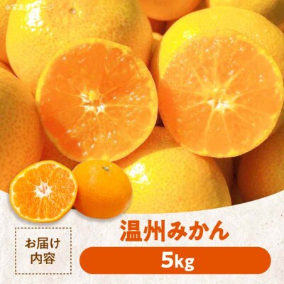 【先行受付】【12月上旬より順次発送】温州みかん5kgとグリーンキウイ5kg [AGBC009]