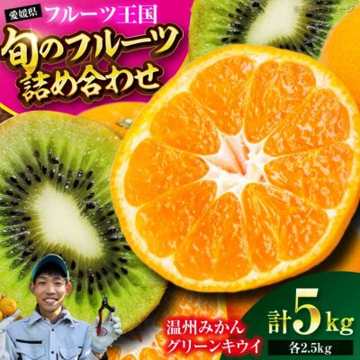 【先行受付】【12月上旬より順次発送】温州みかん2.5kgとキウイ2.5kg[AGBC010]