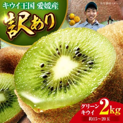 【先行受付】【11月中旬から順次発送】【訳あり】グリーンキウイ 2kg [AGBC011]