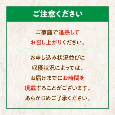 【先行受付】【11月中旬から順次発送】【訳あり】グリーンキウイ 2kg [AGBC011]