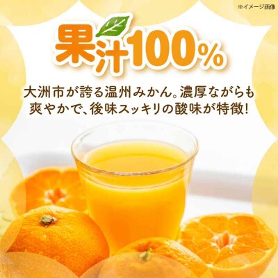 温州みかん100%ジュース 720ml×2本セット [AGBC012]