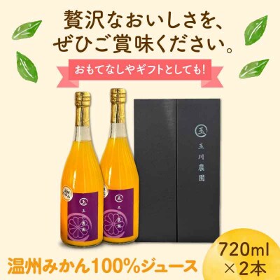 温州みかん100%ジュース 720ml×2本セット [AGBC012]