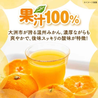 温州みかん100%ジュース 720ml×4本セット [AGBC013]