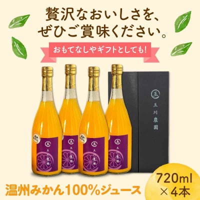 温州みかん100%ジュース 720ml×4本セット [AGBC013]