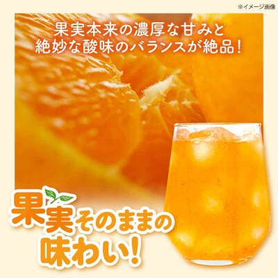 温州みかん100%ジュース 720ml×6本セット [AGBC014]