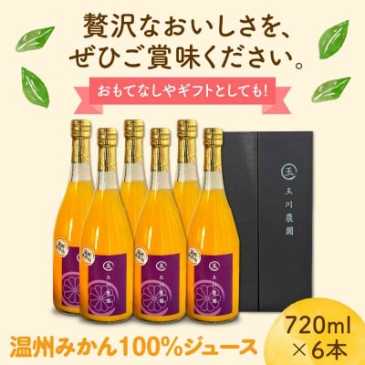 温州みかん100%ジュース 720ml×6本セット [AGBC014]