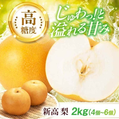 【先行受付】【10月上旬から順次発送】特大新高 梨2kg(4個から6個入り)[AGBD001]