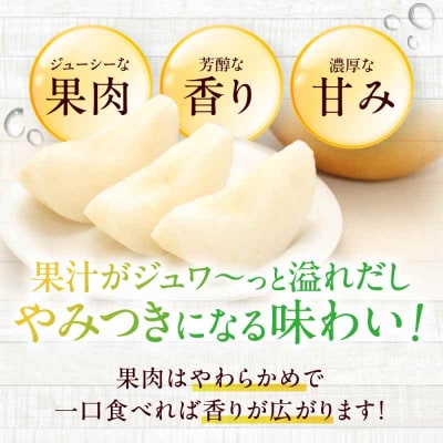 【先行受付】【10月上旬から順次発送】特大新高 梨2kg(4個から6個入り)[AGBD001]