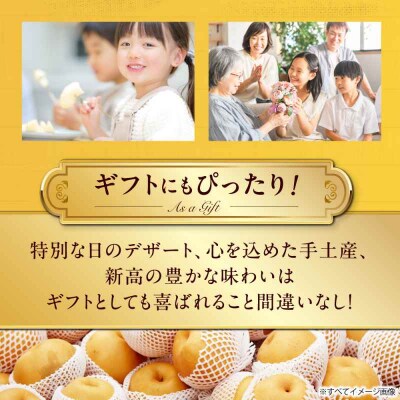 【先行受付】【10月上旬から順次発送】特大新高 梨2kg(4個から6個入り)[AGBD001]