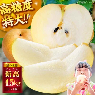 【先行受付】【10月上旬から順次発送】特大新高 梨4.5kg(6個から8個入り)[AGBD002]