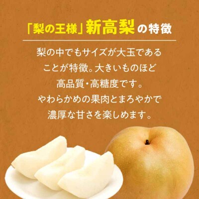【先行受付】【10月上旬から順次発送】特大新高 梨4.5kg(6個から8個入り)[AGBD002]