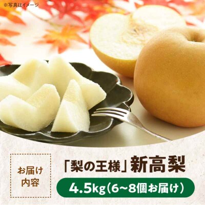 【先行受付】【10月上旬から順次発送】特大新高 梨4.5kg(6個から8個入り)[AGBD002]