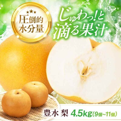 【先行受付】【9月上旬から順次発送】豊水 梨4.5kg(9個から11個入り)[AGBD003]
