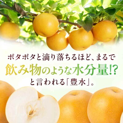 【先行受付】【9月上旬から順次発送】豊水 梨4.5kg(9個から11個入り)[AGBD003]