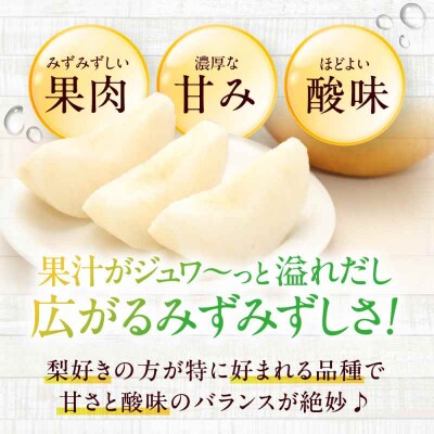【先行受付】【9月上旬から順次発送】豊水 梨4.5kg(9個から11個入り)[AGBD003]