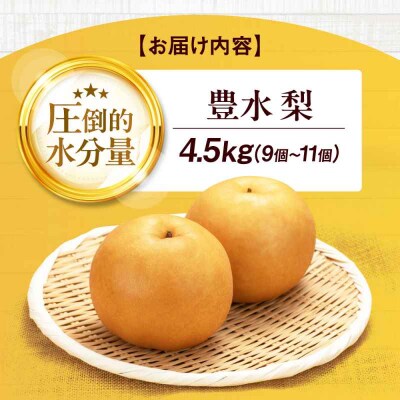 【先行受付】【9月上旬から順次発送】豊水 梨4.5kg(9個から11個入り)[AGBD003]