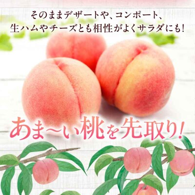 【先行受付】【7月中旬から順次発送】桃 9-13玉入 [AGBD006]