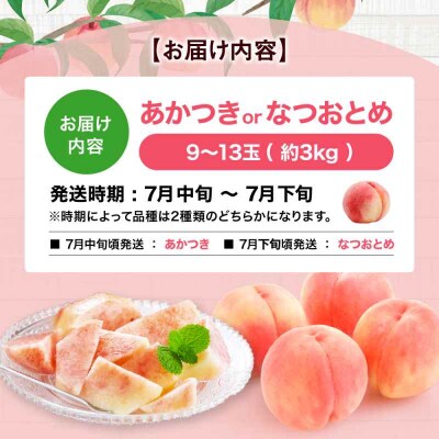 【先行受付】【7月中旬から順次発送】桃 9-13玉入 [AGBD006]