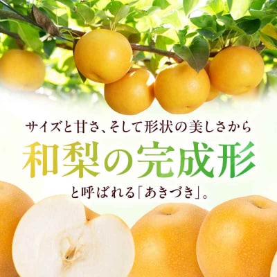 【先行受付】【9月中旬から順次発送】特選 あきづき 梨2kg(5個から7個入り)[AGBD008]
