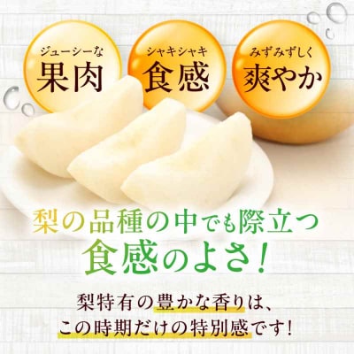 【先行受付】【9月中旬から順次発送】特選 あきづき 梨2kg(5個から7個入り)[AGBD008]