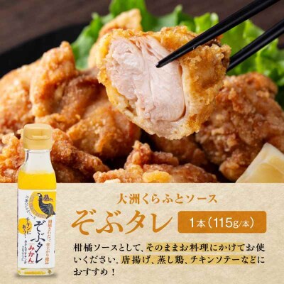 大洲くらふとコーラぞぶる・大洲くらふとソースぞぶタレ 各1本 計2本セット[AGBI003]